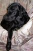 Labrador Retriever Foto: Mein Labrador (ID 10358) Labrador Retriever Hund