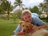 Labrador Retriever Hund