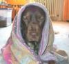Labrador Retriever Foto: Who let the Dog out ? (ID 27826) Labrador Retriever Hund