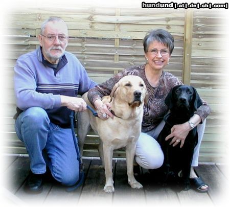 Labrador Retriever Tommy, Ben, Marga und Ingo 