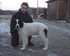 Landseer Foto: Thyriane du Domaine de Val Kurlande (ID 2966) Landseer Hund