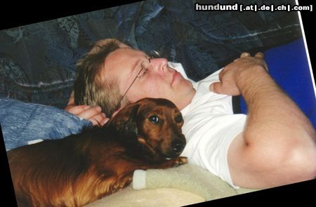 Langhaardackel Hunde Foto 19349 in höherer Auflösung ansehen Langhaardackel Immer nahe drann :-))
