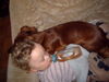 Langhaardackel Foto: Abby und joel beim Mittagsschlaf (ID 30253) Langhaardackel Hund
