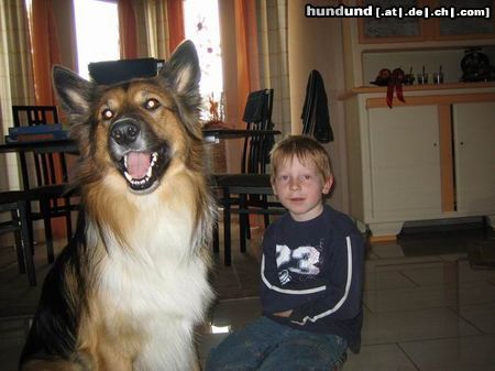 Langhaarcollie Hunde Foto 23133 in höherer Auflösung ansehen Langhaarcollie Basko mit meinem Bruder!