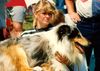 Langhaarcollie Hund