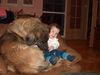 Leonberger Foto: moje corki :) (ID 22246) Leonberger Hund