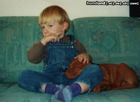 Kurzhaariger Ungarischer Vorstehhund Hunde Foto 20233 in höherer Auflösung ansehen Kurzhaariger Ungarischer Vorstehhund Christopher+Hektor