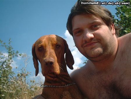 Kurzhaariger Ungarischer Vorstehhund Hunde Foto 13826 Kurzhaariger Ungarischer Vorstehhund ares und papa beim schwimmen