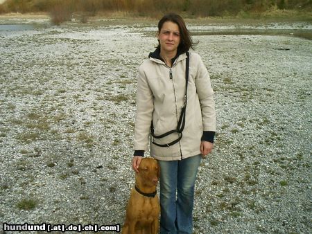 Kurzhaariger Ungarischer Vorstehhund Hunde Foto 13837 Kurzhaariger Ungarischer Vorstehhund ares und mama