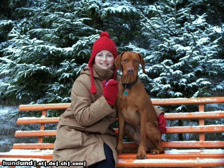 Kurzhaariger Ungarischer Vorstehhund Hunde Foto 8317 Kurzhaariger Ungarischer Vorstehhund Eine Pause muss sein!