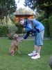 Kurzhaariger Ungarischer Vorstehhund Foto: SAM, 10 Jahre jung (ID 12789) Kurzhaariger Ungarischer Vorstehhund Hund