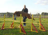 Kurzhaariger Ungarischer Vorstehhund Foto: Bin 6J. und top-fit (ID 25681) Kurzhaariger Ungarischer Vorstehhund Hund