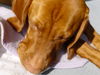 Kurzhaariger Ungarischer Vorstehhund Foto: Ibo of Sirius (ID 30054) Kurzhaariger Ungarischer Vorstehhund Hund