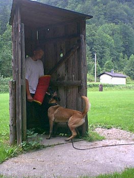 Malinois Hunde Foto 609 Malinois Atra du Pays des Chateaux