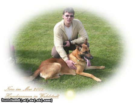 Malinois Hunde Foto 44417 in höherer Auflösung ansehen Malinois Ein schöner Tag