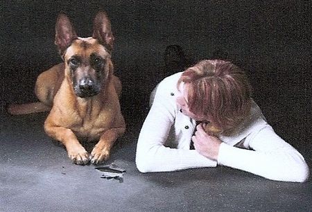 Malinois Hunde Foto 41751 Malinois Kerou