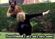 Malinois Hunde Foto 44969 in höherer Auflösung ansehen Malinois Kerou ( Bellyeu)