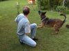 Malinois Foto: Tapu aus Namibia (5 Jahre) - Spielen, spielen, spielen... (ID 2692) Malinois Hund