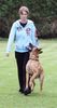 Malinois Foto: Kerou (ID 44267) Malinois Hund