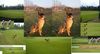 Malinois Foto: Kerou ( Bellyeu) (ID 44217) Malinois Hund