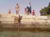Malinois Foto: Kroatischer Flug- MALI (ID 36365) Malinois Hund