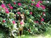 Malinois Foto: Kerou (Kee) (ID 46060) Malinois Hund