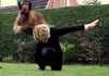 Malinois Foto: Kerou ( Bellyeu) (ID 44969) Malinois Hund