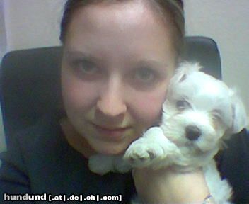 Malteser Hunde Foto 5456 Malteser Meine Hexe und ich!