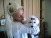 Malteser Foto (ID 31961) Malteser Hund