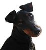 Manchester-Terrier Foto: Pretty Joy von der Beckrather Mühle -> (ID 24360) Manchester-Terrier Hund