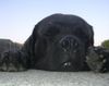 Mastiff Foto: Bulgrin im Sommer 2009 (ID 44775) Mastiff Hund
