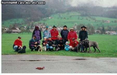 Mastino Napoletano Hunde Foto 8056 Mastino Napoletano 3 Mastino's in der Hundeschule