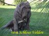 Mastino Napoletano Foto: vom Schloss Velden (ID 45098) Mastino Napoletano Hund