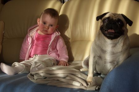 Mops Hunde Foto 38659 Mops Naomi & Sophie 04.07