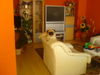 Mops Foto: das ist unser süßer gutschi =) (ID 35214) Mops Hund