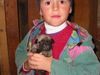 Mops Foto: Mein Sohn Marek und klein Mops (ID 7325) Mops Hund