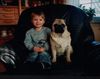 Mops Hund