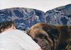 Neufundländer Foto: Süße Träume (ID 8381) Neufundländer Hund