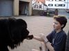 Neufundländer Foto: sam, stellt sich vor (ID 10217) Neufundländer Hund