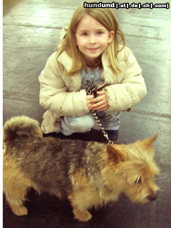 Norwich Terrier Hunde Foto 10121 Norwich Terrier Domenikus Fee & Helena bei der IHA 2004 in Graz