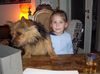 Norwich Terrier Foto: Danny de Vito & Helena bei Fam. Schoiswohl in Bad Aussee/OÖ (ID 10120) Norwich Terrier Hund