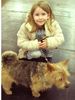 Norwich Terrier Foto: Domenikus Fee & Helena bei der IHA 2004 in Graz (ID 10121) Norwich Terrier Hund