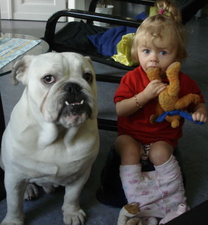 Olde English Bulldogge Hunde Foto 31342 Olde English Bulldogge Meine Freundin und ich ( Anna u. Buddy)
