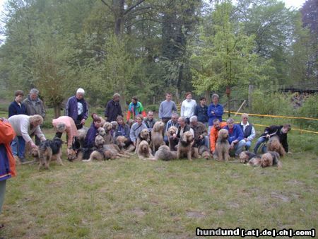 Otterhund Otterhoundtreffen 2000 Knesebeck