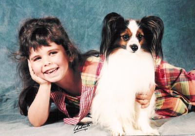 Papillon Hunde Foto 764 Papillon Bärchen