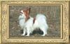 Papillon Foto: LSunshine Butterfly Winterdream (ID 7886) Papillon Hund