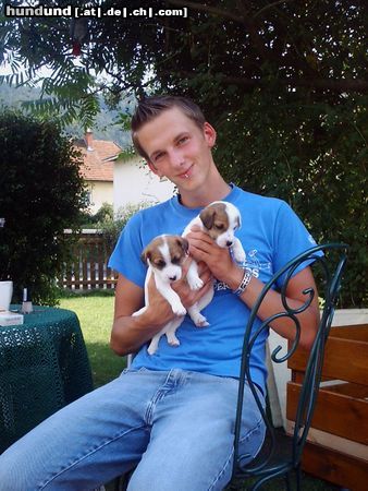 Parson-Russell-Terrier Hunde Foto 5211 Parson-Russell-Terrier MaxL mit 2 Welpen