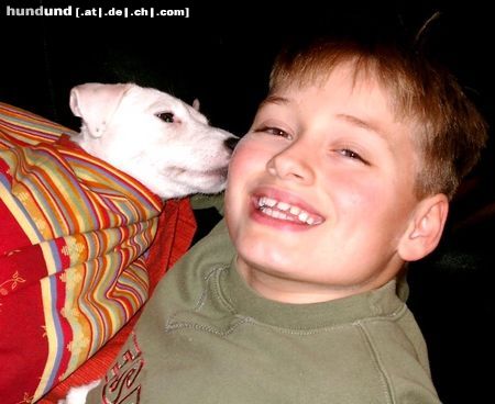 Parson-Russell-Terrier Hunde Foto 9647 Parson-Russell-Terrier Wahre Liebe...