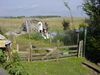 Parson-Russell-Terrier Foto: Jacky's Flugversuch (ID 5550) Parson-Russell-Terrier Hund