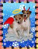 Parson-Russell-Terrier Foto: Earl in Stuttgart-Ausstellung (ID 7770) Parson-Russell-Terrier Hund